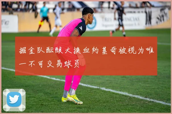 掘金队酝酿大换血约基奇被视为唯一不可交易球员