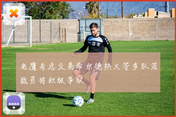 老鹰考虑交易希尔德热火等多队若裁员将积极争取
