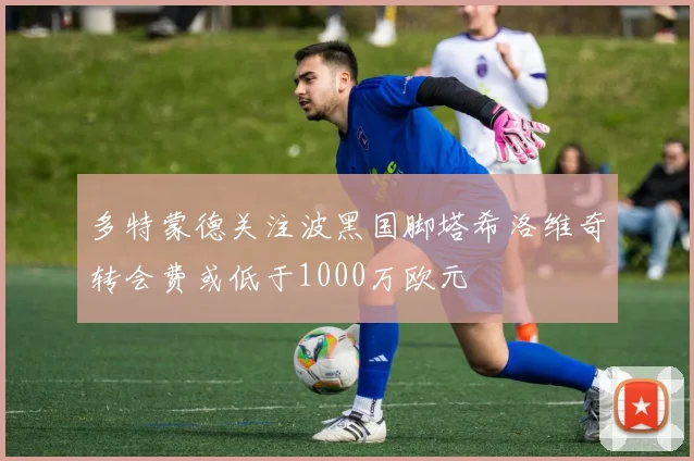 多特蒙德关注波黑国脚塔希洛维奇转会费或低于1000万欧元